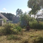 clearing property 072012