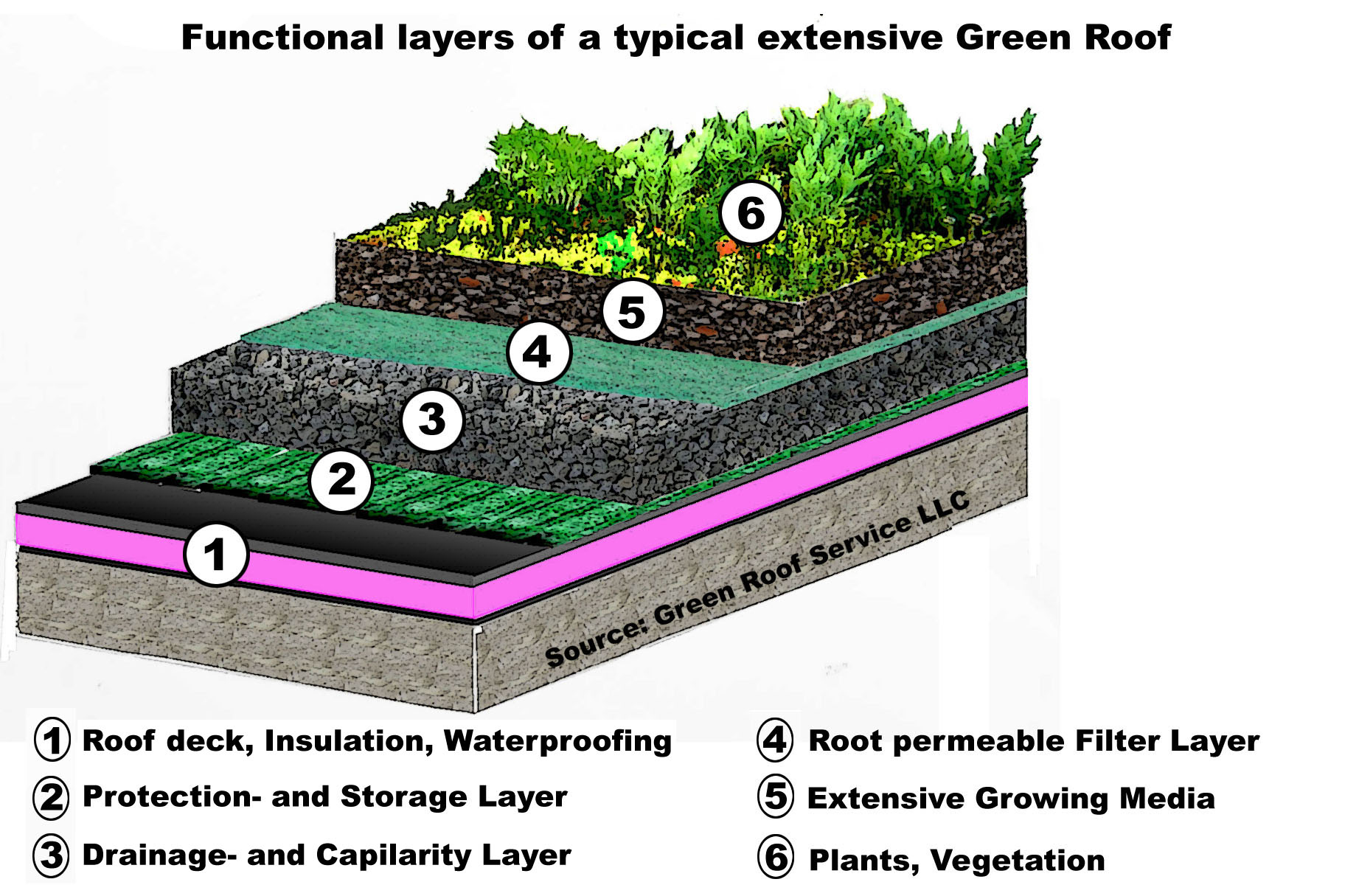 Roof: Green Roof