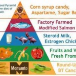 GMO-Food-Pyramid-of-Death