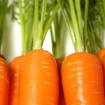 carrottops