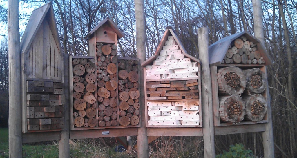Insect Hotel 5