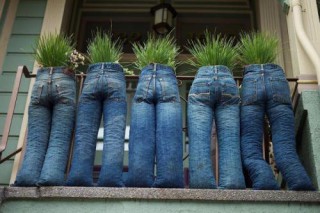Jeans planters