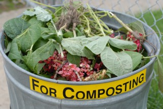 Composting Bin