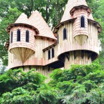 Birr Castle Tree House