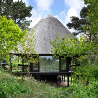 Vernacular 01