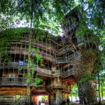 The-Worlds-Biggest-Tree-House-by-Horace-Burgess-28